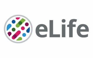 eLife